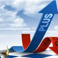 国务院办公厅印发《关于进一步促进民间投资发展的若干措施》的通知